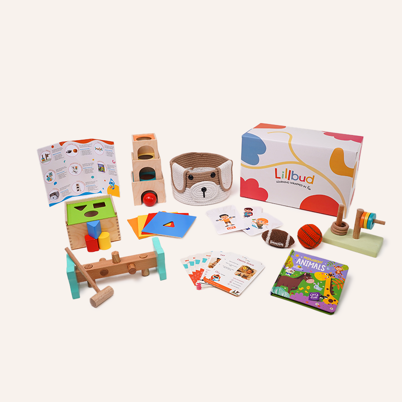 Learning Leaps - 12 to 14 months (All-Rounder Kit)