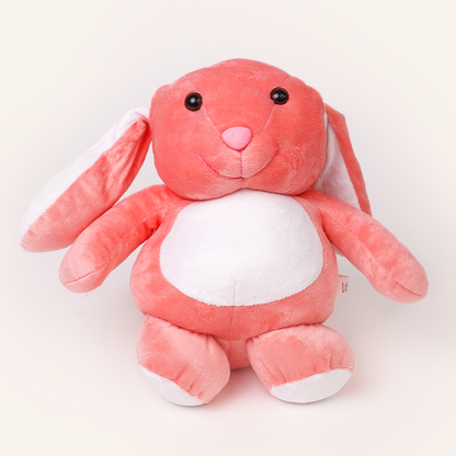 Hop and Pull Bunny Soft Toy