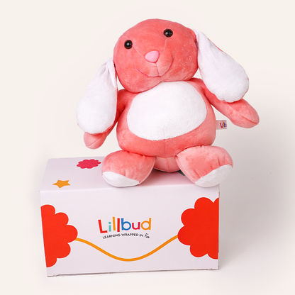 Hop and Pull Bunny Soft Toy
