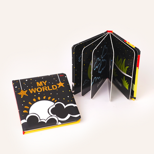 My World - High Contrast Book
