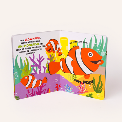 Eager Fingers - 6 to 8 months (All-Rounder Kit)